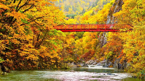 Description: Những rặng núi thuộc công viên quốc gia Daisetsuzan là nơi đầu tiên nhìn thấy sắc lá chuyển vào mùa thu mỗi năm.