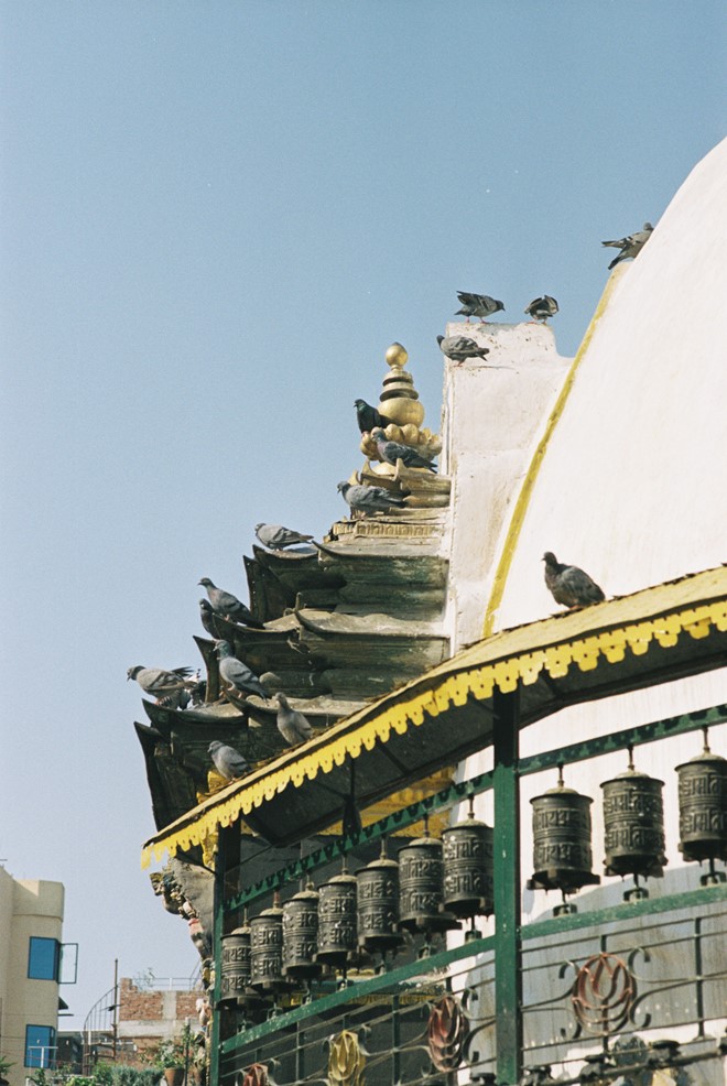 Description: Một đàn chim bồ câu đậu trên dãy chuyển kinh luân. Người theo Phật giáo Tây Tạng quan niệm xoay chuyển kinh luân là cách để giải trừ nghiệp chướng.