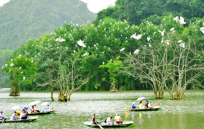 Description: Vườn chim Thung Nham: Vườn Chim Thung Nham nằm ở xã Ninh Hải, huyện Hoa Lư, là một trong những điểm du lịch hội tụ đầy đủ các yếu tố văn hóa, tâm linh, cảnh quan và đa dạng sinh học. Bên cạnh cảm giác thú vị khi ngồi trên thuyền, chiêm ngưỡng khu đầm, du khách còn được khám phá cuộc sống hoang dã của gần 40 loài chim với khoảng 50 ngàn con. Ảnh: 123phuot.com